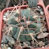 IMG_20210127_111923