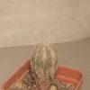 IMG_20210106_203600