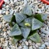 IMG_3192