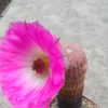 DSCN3323