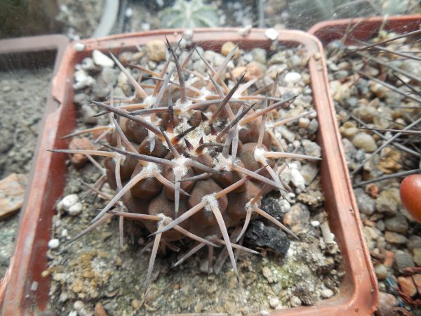 DSCN8395