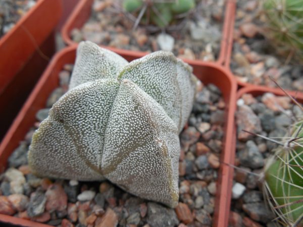 DSCN8709