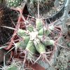 IMG_20210929_120711