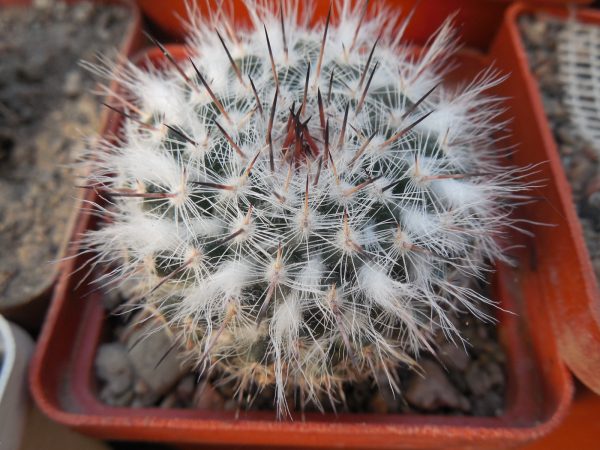 DSCN9192