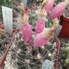 IMG_20211215_120919 (2)