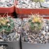 DSCN9720
