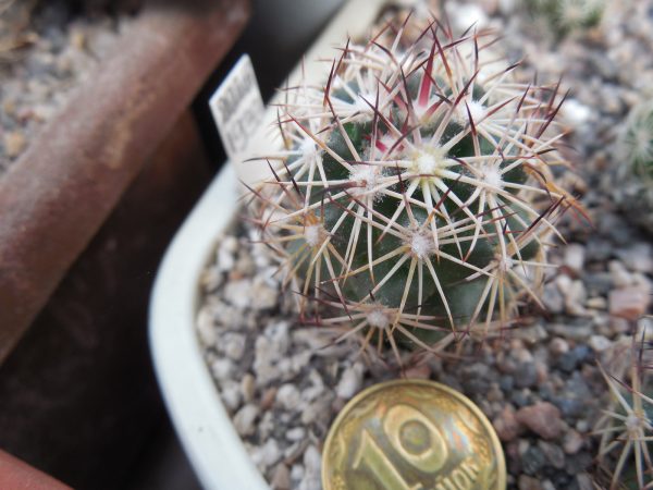 DSCN0015