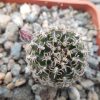 DSCN0078