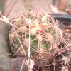 IMG_20220614_111646 (3)
