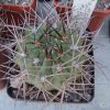 IMG_20220817_105221 (2)
