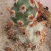 IMG_20220902_130752 (2)