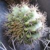 IMG_20220902_161804_1 (3)