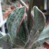 IMG_20200320_182250
