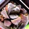 IMG_6924