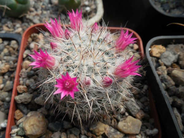 DSCN9183