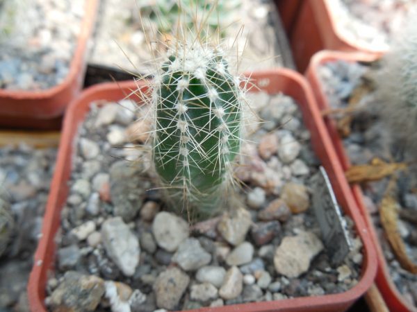DSCN9197