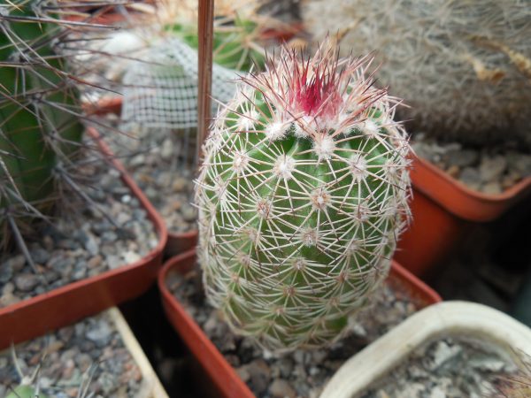 DSCN9551