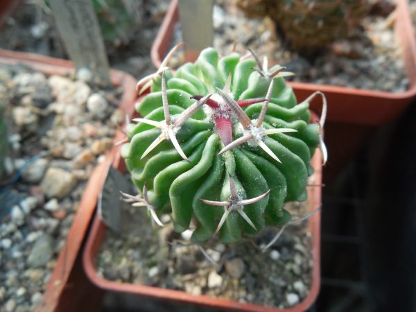 DSCN9602