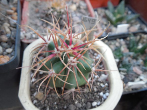 DSCN9860