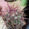 DSCN7643
