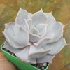 IMG_0503