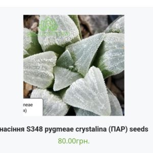 насіння S348 pygmeae crystalina  (ПАР) seeds