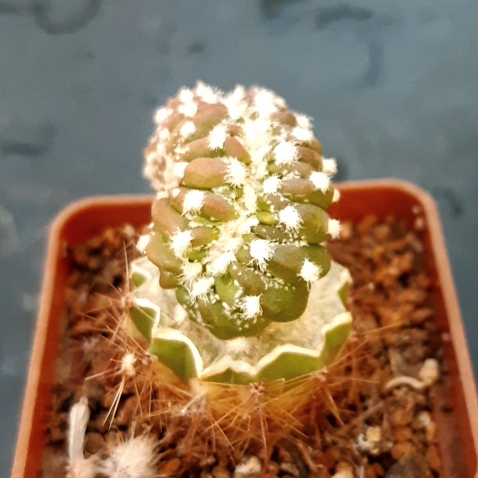 20260609_202608