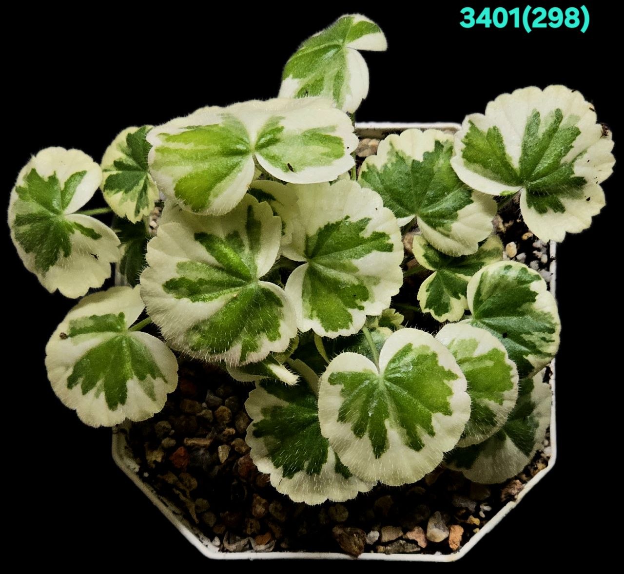 3401-1