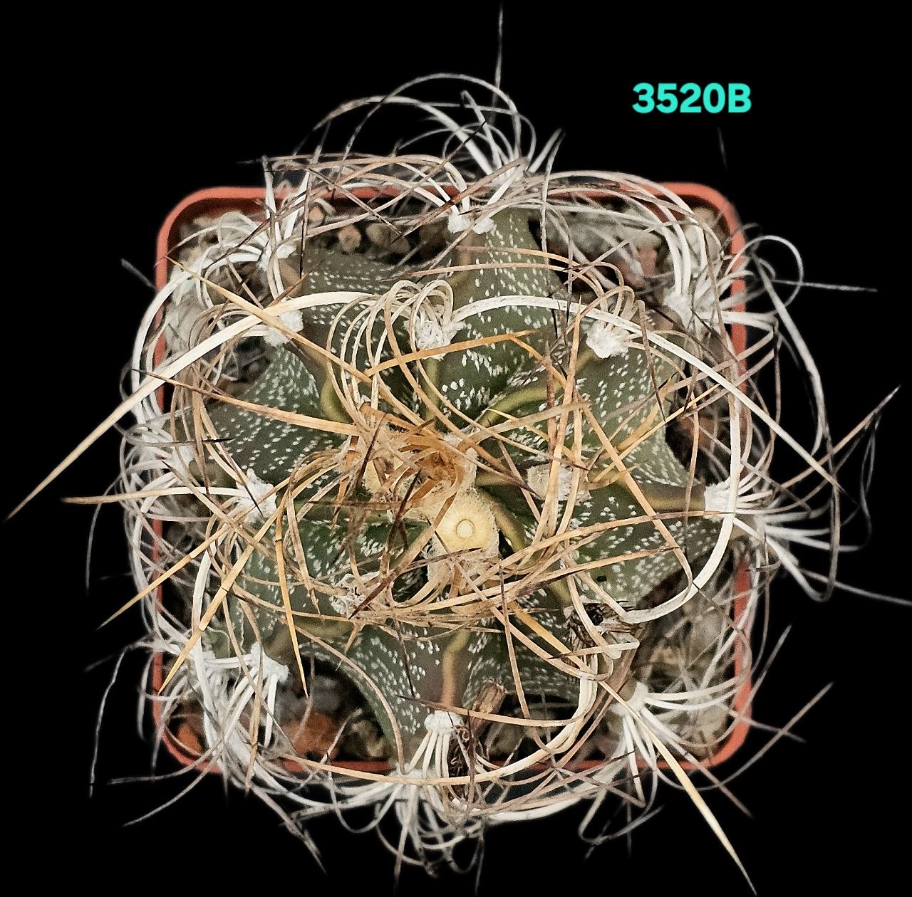3520-1